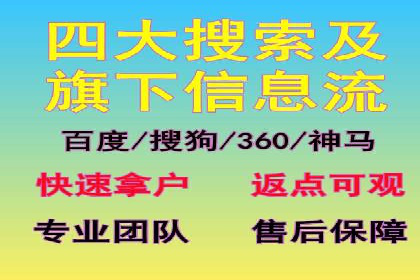 SEM代运营公司案例分析报告